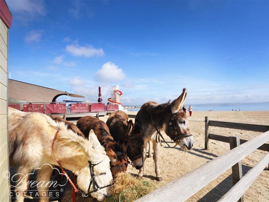 Baytree Lodge Уеймут Екстериор снимка